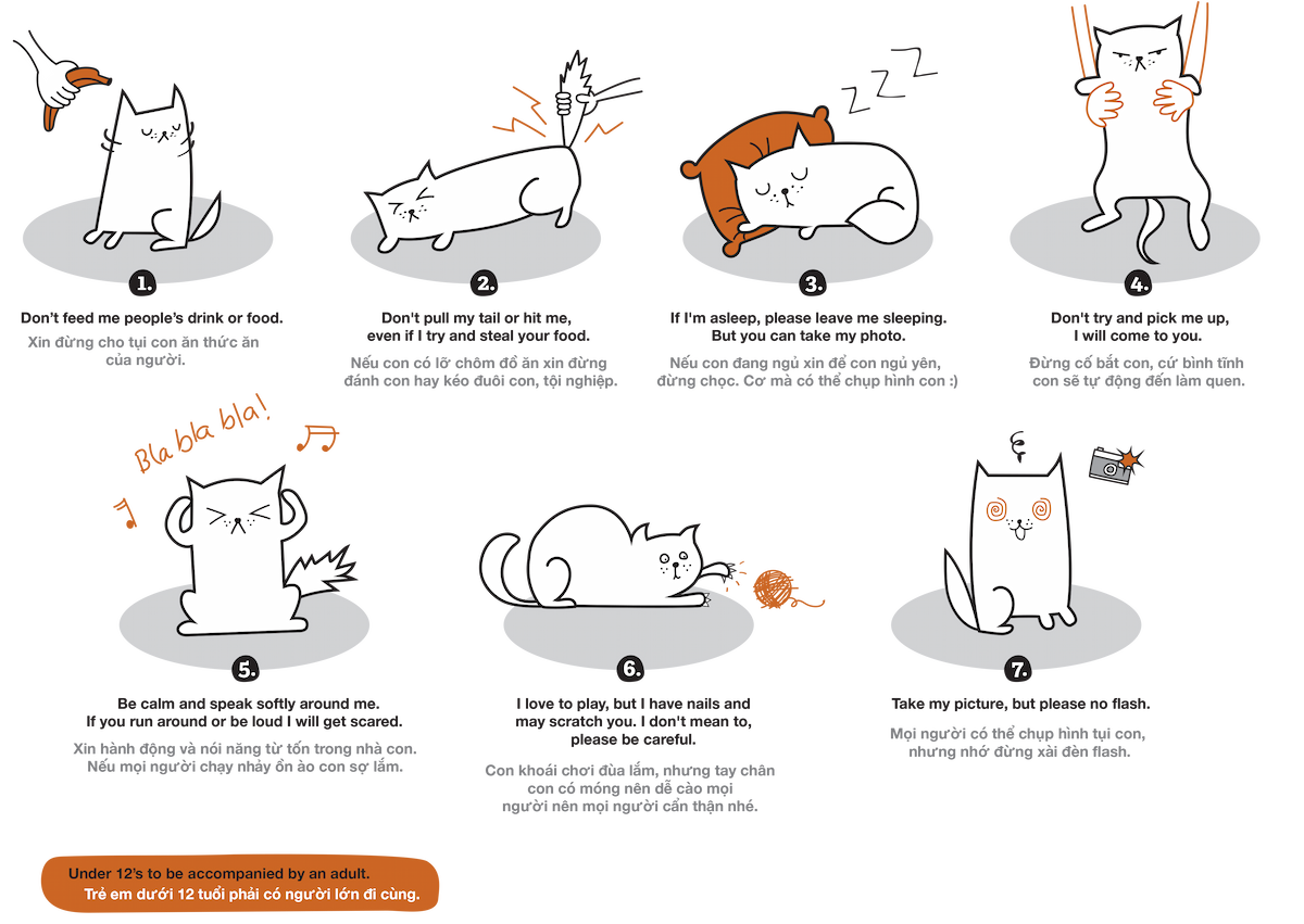 Vietnam Cat Welfare Kitty Rules