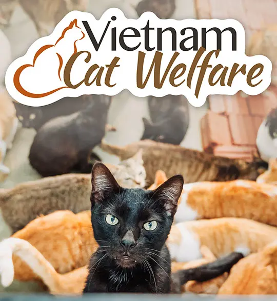 Logo Vietnam Cat Welfare