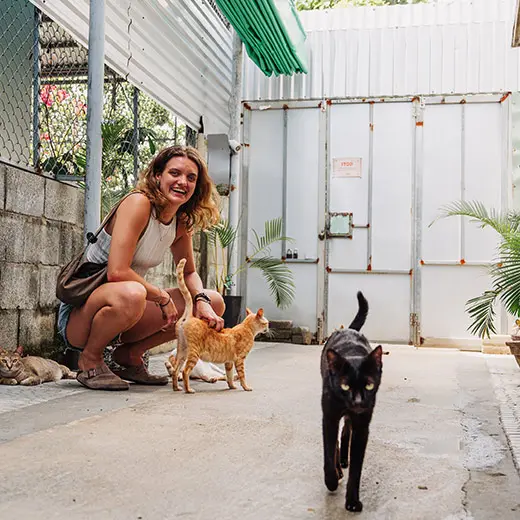 A smiling visitor crouching down to pet a ginger tabby rescue cat at Jack's Cat Cafe in Hoi An, Vietnam. In the foreground, a sleek black cat walks toward the camera, while another tabby rests nearby. The scene is set in a bright, sheltered outdoor area with tropical plants and a relaxed atmosphere.