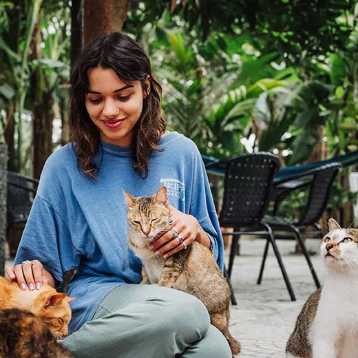 A smiling young woman in a blue t-shirt sits on the patio at Jack's Cat Cafe in Hoi An, surrounded by several cats. She is gently petting Picnic, a brown tabby rescue cat, who is sitting comfortably on her lap. The lush, tropical garden background with cafe seating highlights the peaceful and community-focused atmosphere of the rescue center.