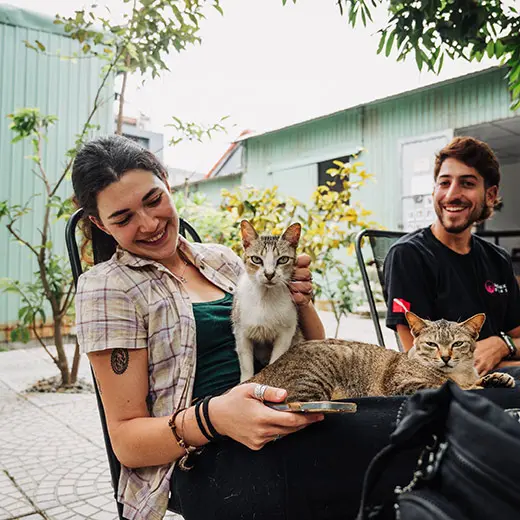 Two smiling visitors enjoying time with rescue cats at Jack's Cat Cafe in Hoi An. Thumper, a tabby and white cat, stands curious on a guest's lap while Bush, a brown tabby cat, lies down comfortably beside him. The scene captures a peaceful afternoon in the sunny outdoor area of the sanctuary in Vietnam.